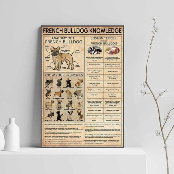 French Bulldog Knowledge Wall Art Poster No Frame - Picture 1 of 1